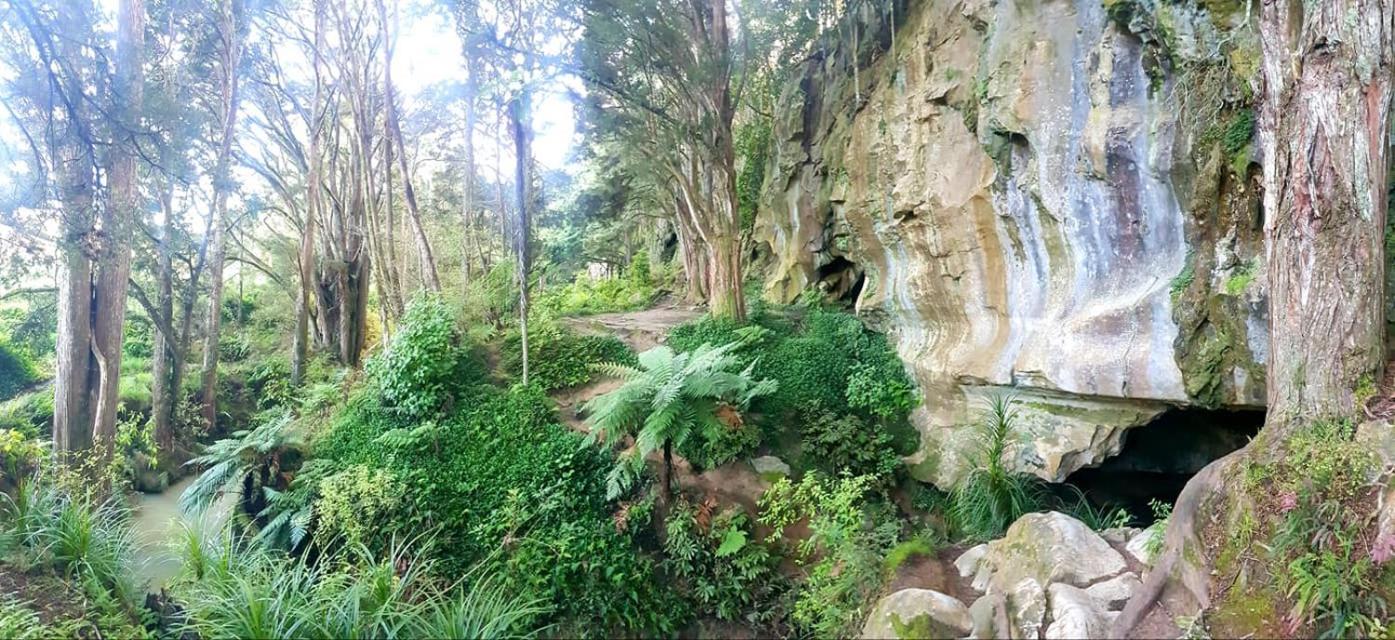 Hotel 1 Waipu Off-Grid Eco Seaview Geodesic Glamping Dome Exteriér fotografie